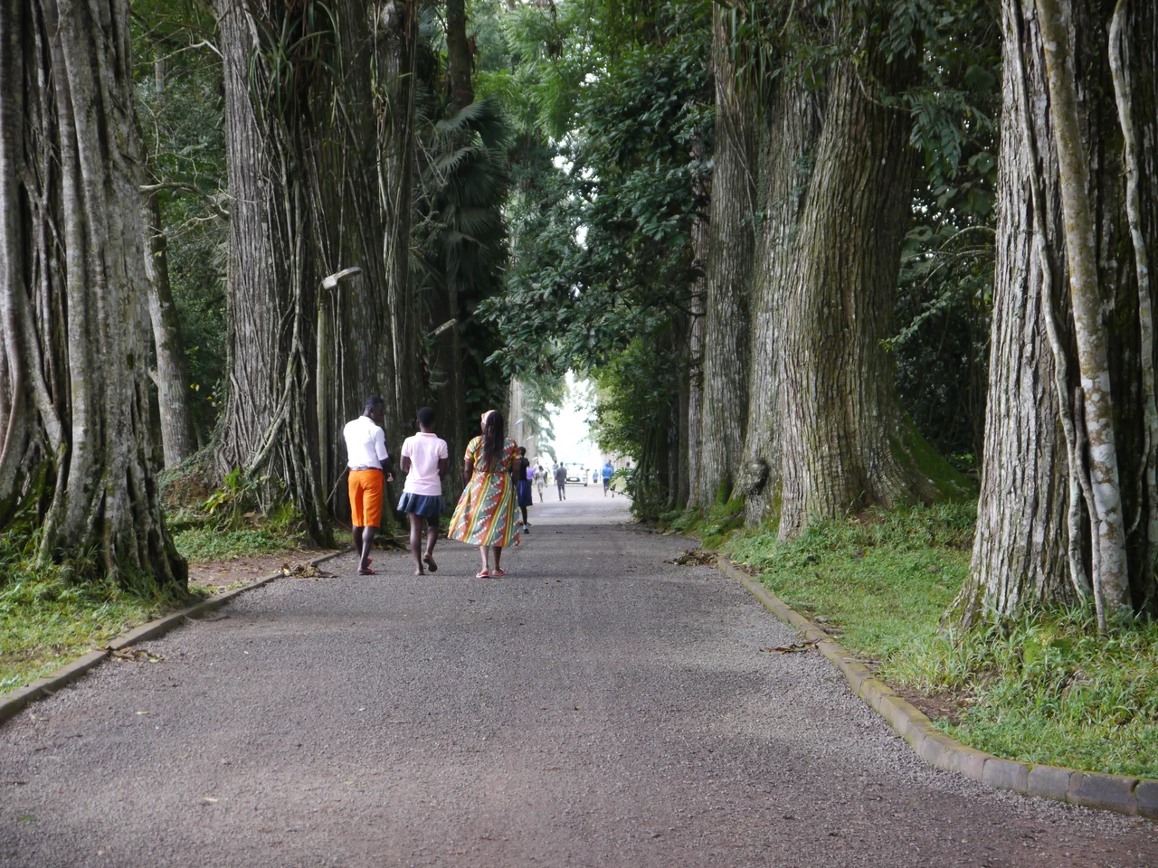 Aburi garden