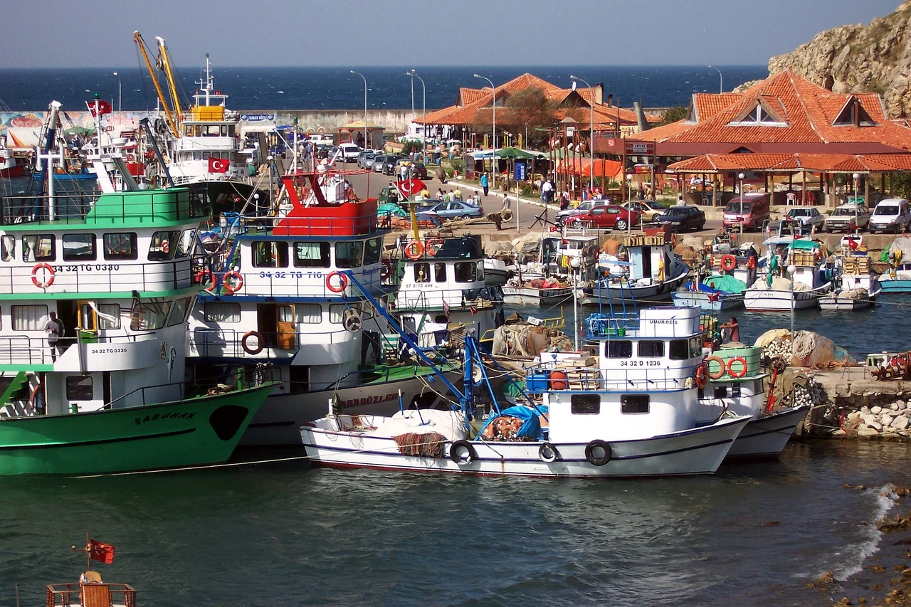 Turkey (Istanbul-Şile) Colorful fishing harbor