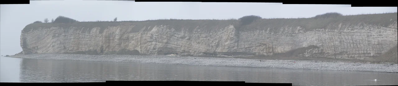 Stevns Klint, cliffs of Stevns, a white chalk cliff on the Danish island of Zealand.